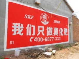 桂东刷墙广告”蕴含了时代命题