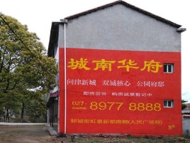 桂东百分之90的人都不了解的农村墙体广告