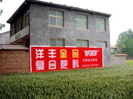 桂东如何让墙体广告展现最大化效果