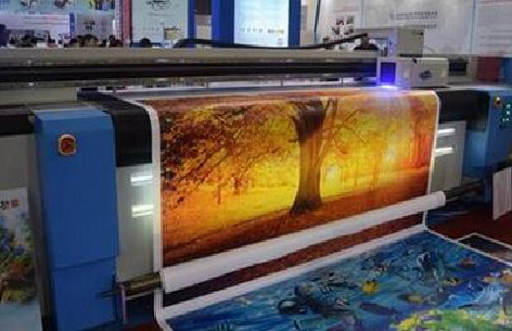 桂东写真有哪些介质？