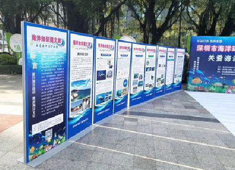 桂东KT板的种类和知识。